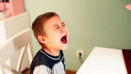 The unhappy little boy sits at his desk in front of a laptop and cries loudly