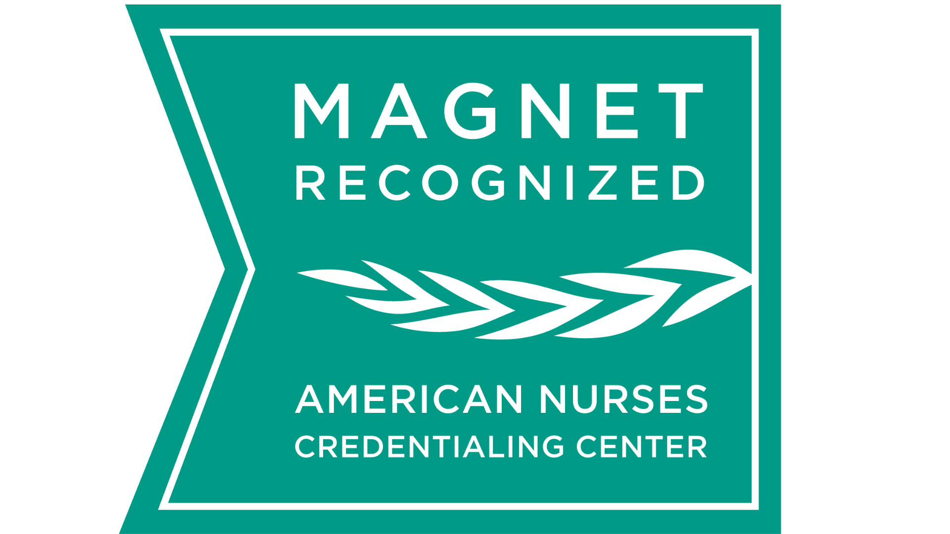Magnet logo