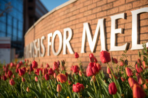 Image of UAMS entrance to campus