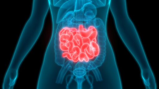 Small Intestine Scan