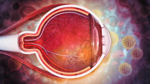 Human eye anatomy. Inner structure. 3d illustration