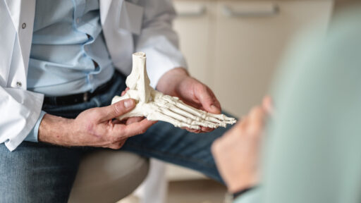 a skeleton model of an ankle
