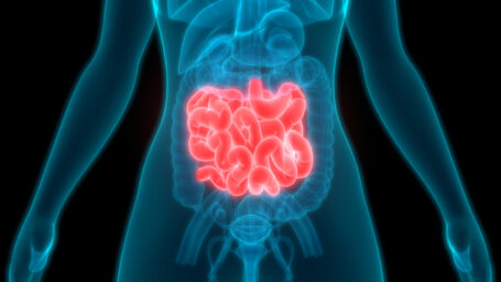 Small Intestine Scan