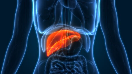 liver cancer prevention