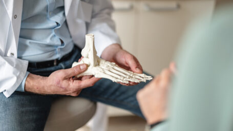 a skeleton model of an ankle